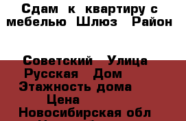 Сдам 1к. квартиру с мебелью, Шлюз › Район ­ Советский › Улица ­ Русская › Дом ­ 11 › Этажность дома ­ 9 › Цена ­ 10 000 - Новосибирская обл., Новосибирск г. Недвижимость » Квартиры аренда   . Новосибирская обл.,Новосибирск г.